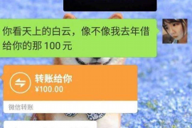 自贡如何避免债务纠纷？专业追讨公司教您应对之策